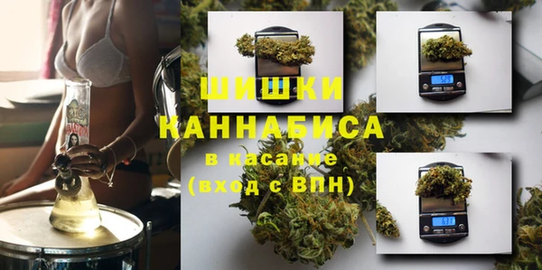 МДПВ Алзамай