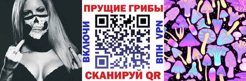 ссылка на мегу зеркало  Северская  Галлюциногенные грибы Magic Shrooms 